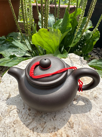 Yixing Tea Pot #9