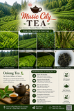 Oolong Tea ( Big Red Robe) top sale #9S