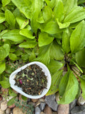 Honeysuckle Mint Tea