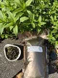 Honeysuckle Mint Tea