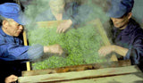 Tea sampler( Best seller Green Tea sampler)