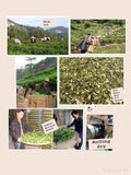 Chinese Tea Sampler
