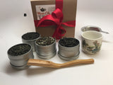 Christmas Fruit Tea Sampler Gift Top Sale-2016 GF 7