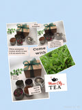 Tea Sampler- Flavoed