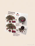 Sleeping Beauty-Herbal Tea Night Time Tea